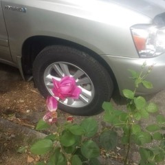 𝕮𝕺𝕹𝕾𝕮𝕴𝕰𝕹𝕮𝕰 - 𝕵𝖀𝕾𝕿𝕰𝕹𝕯 ₊˚