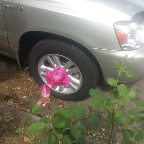 𝕮𝕺𝕹𝕾𝕮𝕴𝕰𝕹𝕮𝕰 - 𝕵𝖀𝕾𝕿𝕰𝕹𝕯 ₊˚