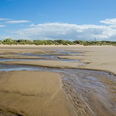 Butter Boil Beach (disquiet0544)