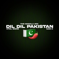 Dil Dil Pakistan - Sam K X Vital Signs - The Masala Mix