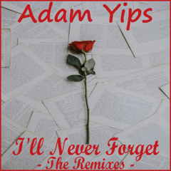Adam Yips - I'll Never Forget (Joey Koala Remix)