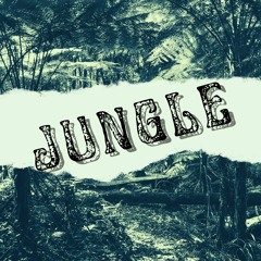 Jungle[Looking for singer/songwritter]