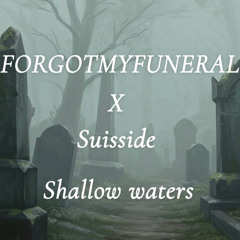 shallow waters w/ suisside (prod. CapsCtrl)
