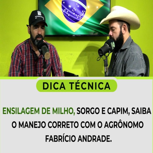 Ensilagem de Milho, Sorgo e Capim, Saiba o Manejo Correto Com o Agrônomo Fabrício Andrade.