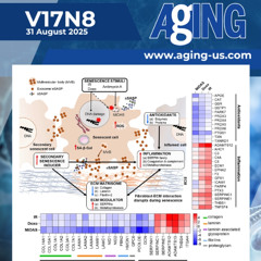 New Study Links Exosomes to Biological Aging