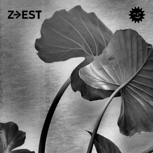 Soundcloud podcast image for