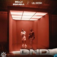 Bella Shmurda & Lil Kesh - ( DND )