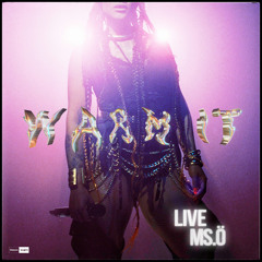 Warm It (feat. Willow Vsound)