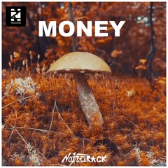 Noizetrack - Money (Radio Edit) [Music video in description]