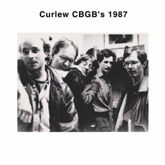 CURLEW "Ray" from "CBGBs, NYC, 1987" (Cuneiform Records)