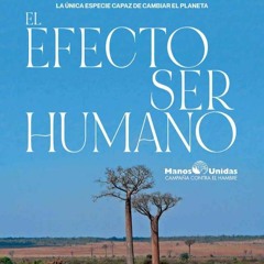 VI Domingo T.O: El efecto ser humano.