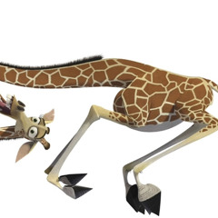 get this house on fire