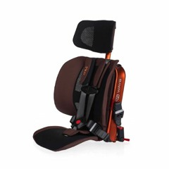 Wayb Pico car seat * (818) 986-6214 | Juvenile Shop