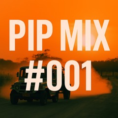 PIP MIX #001