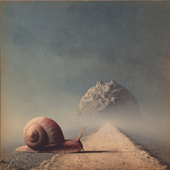 Lonely Snail