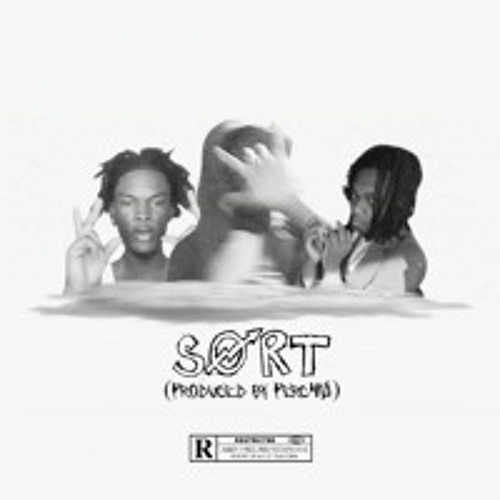 sort feat. omgkeon + demii prod perc40