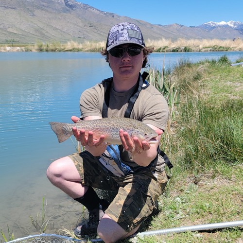 Stream Summer Fishing Hotspots by The Nevada Department of Wildlife's