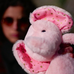 Pink City