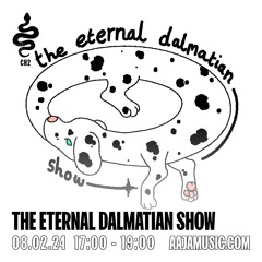 The Eternal Dalmatian Show - Aaja Channel 2 - 08 02 24