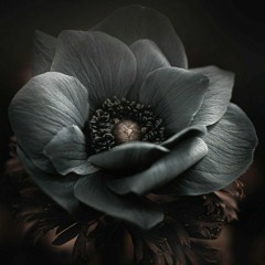 The necessity of return