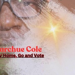 Go And Vote by Peter Barchue Cole