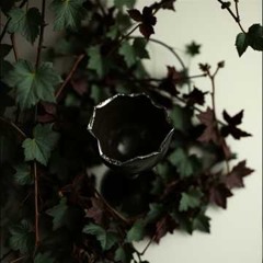 Hollow Craving