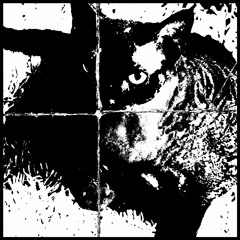 Takyon (Drum & Bass Remix)