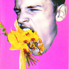 Tallac - Permanent Press [Polari]