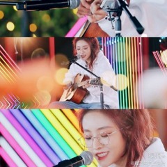 喻言 (Yu Yan) - 狮子猫 (Lion Cat)