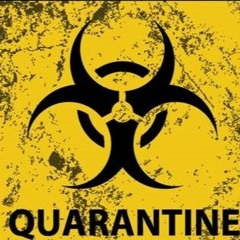 Quarantine Training Week 1 - Faves