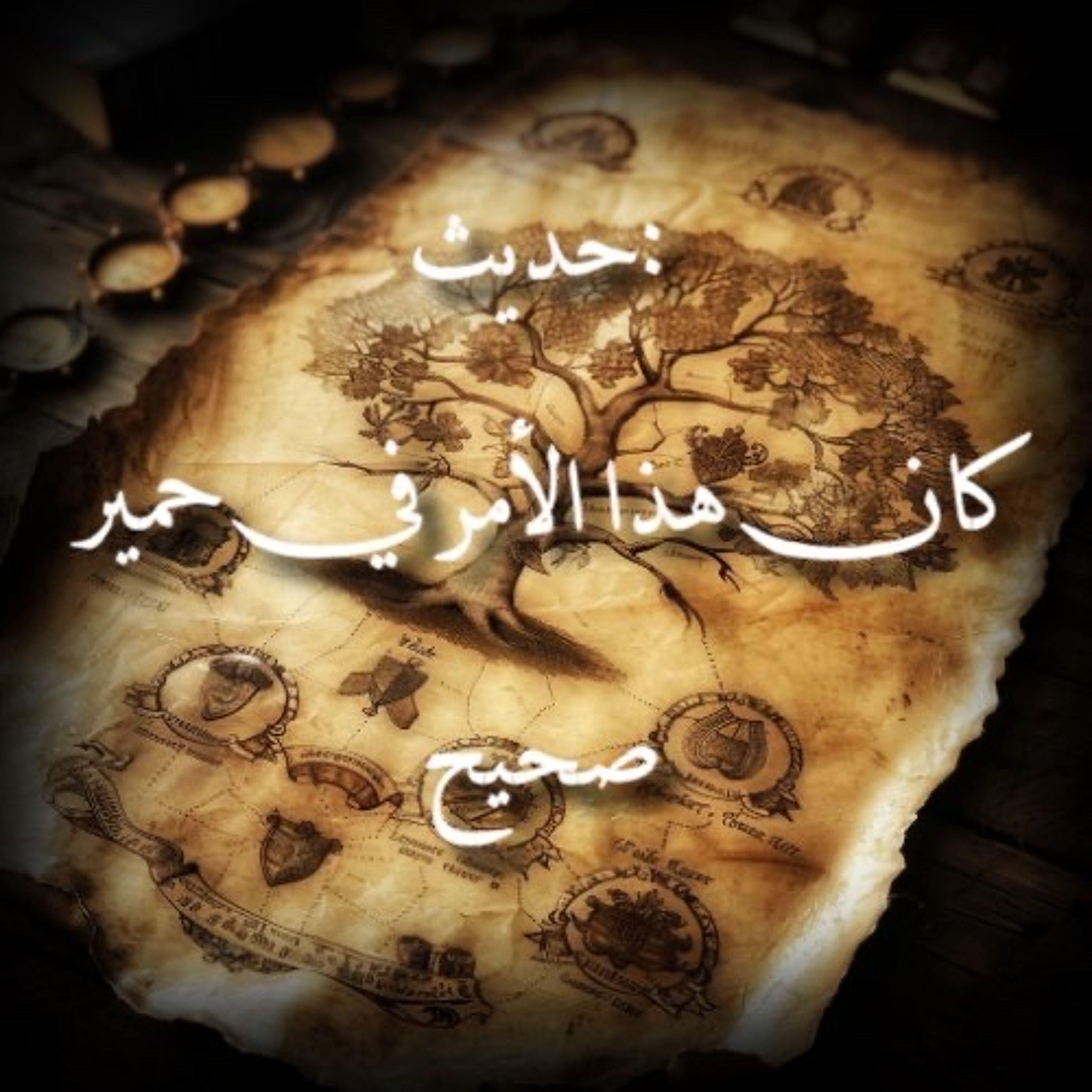كان هذا الأمر في حمير | تخريج الحديث والرد على دعوى نكارته episode artwork