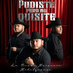 Pudiste Pero No Quisiste