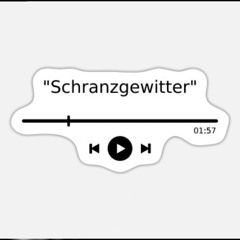 Schranzgewitter🖤⚡️