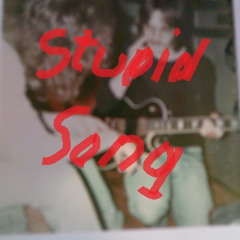 Stupid Song