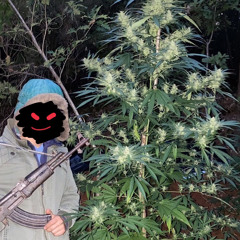 YE (prod. TORYONTHEBEAT) ig: @untouchalibi