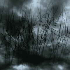"Rain clouds" (Piano trio)