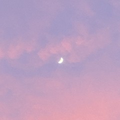 my section p. glbkns acid