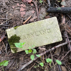 Let Me Bleed (prod jacob vallen)