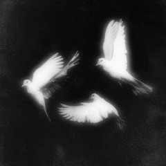 ALMA VACIA