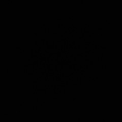 wys [ taylor morgan ]