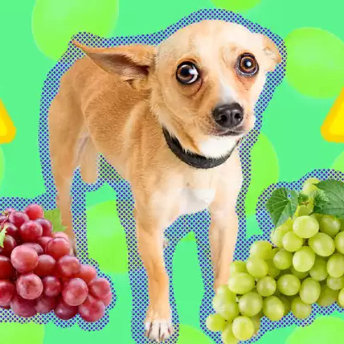 ruby bell, math, sollie - eating grapes (prod. n8ureboi)