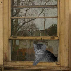 feeling too numb to notice that the fall is no more there (demo)