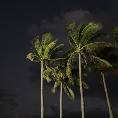 Demons Prod. Pandora (Mastered by Dino)