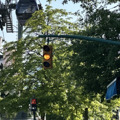 파피용 (cover)