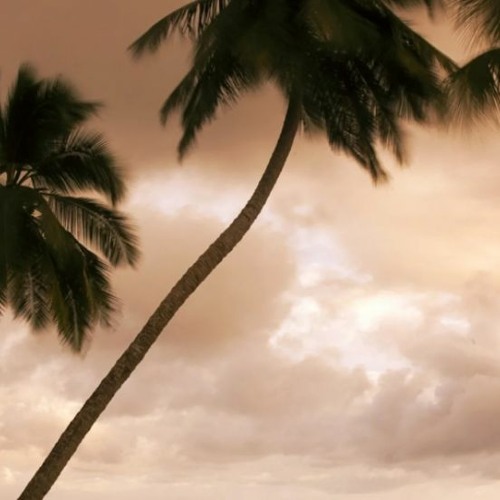 Antolos beautiful music for backgrounds (FREE DOWNLOAD)