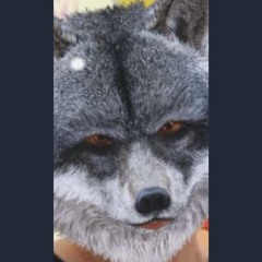 the-lone-wolf.mp3