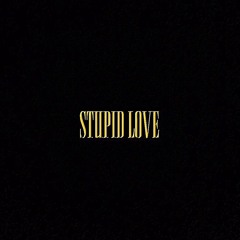 stupid love