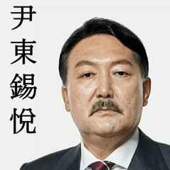 비상계엄령 실패를 맞이한 석열의 봄