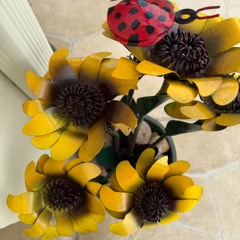 Ep. 525 SEI Town Hall 4