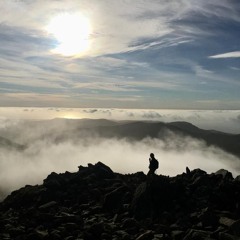 Walking high falling low